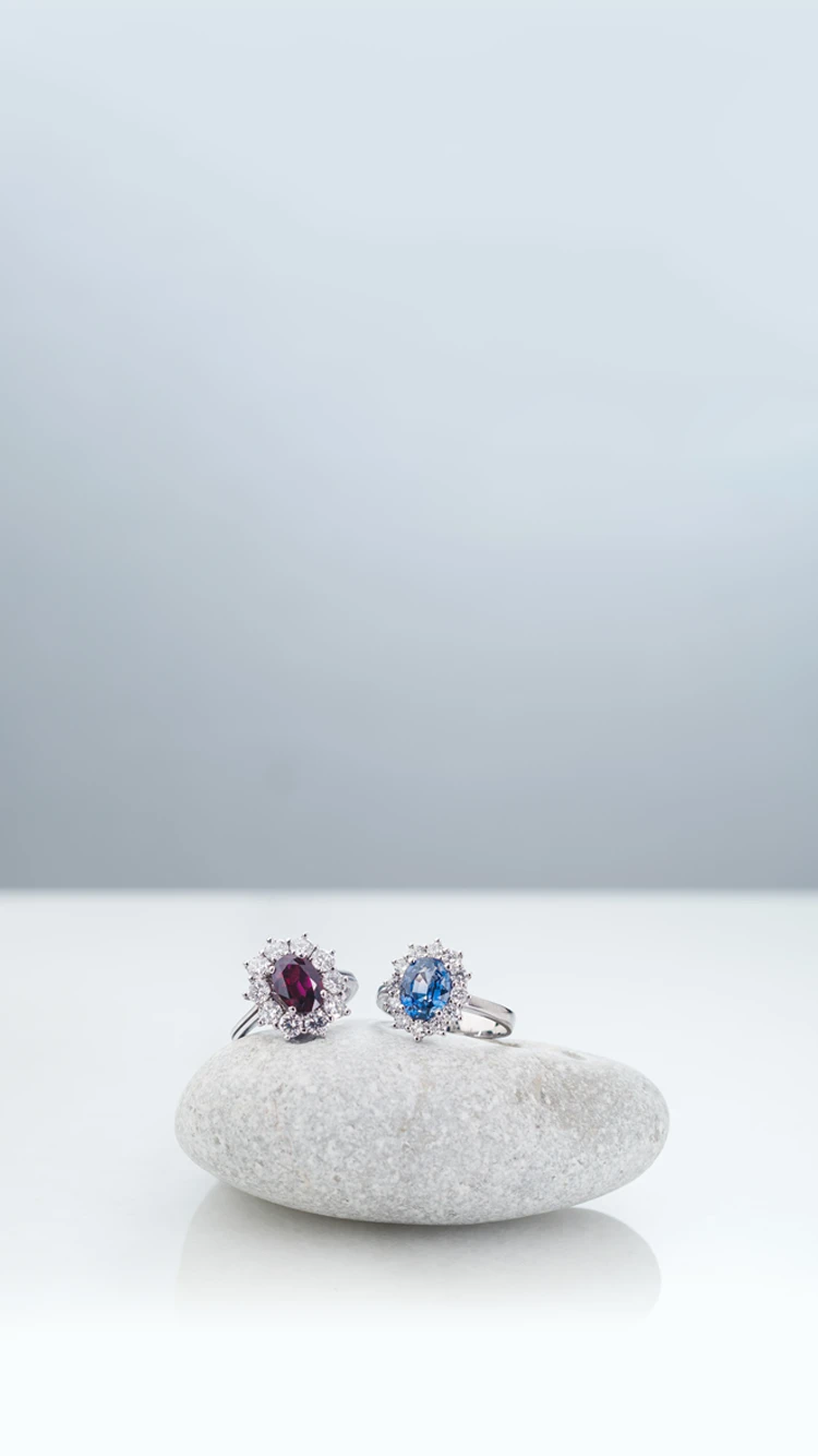 Anillos y Sortijas